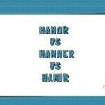 Manor vs Manner vs Manir
