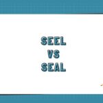 Seel vs Seal
