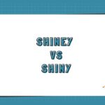 Shiney vs Shiny