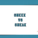 Sneek vs Sneak