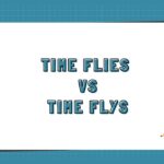 Time Flies vs Time Flys