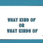 What Kind of or What Kinds of